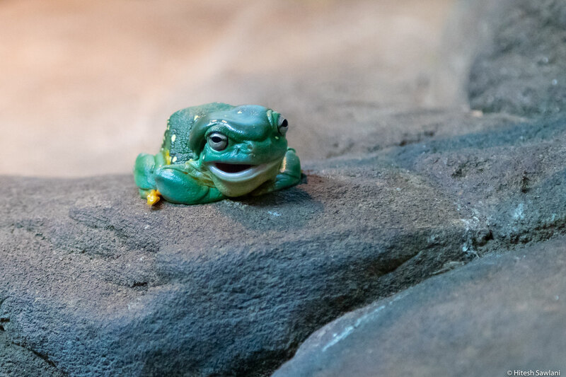 Australia — photo 16