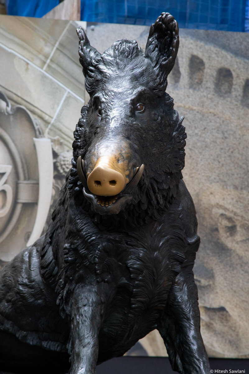 Australia — photo 37