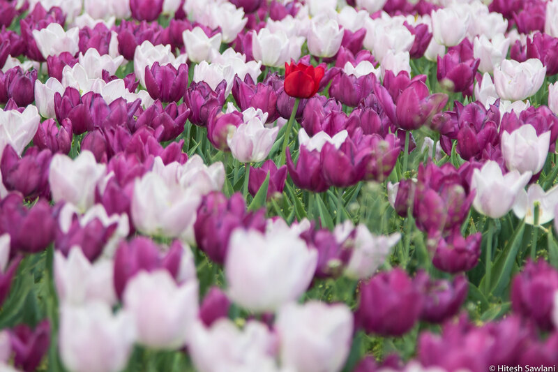 Austria — photo 16