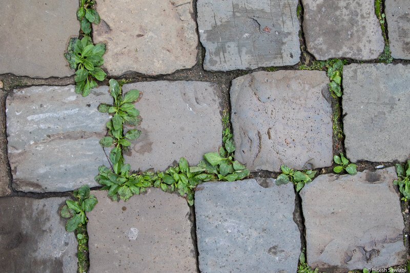 Belgium — photo 16