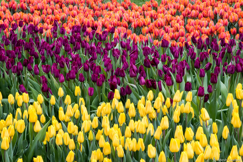 Denmark — photo 23