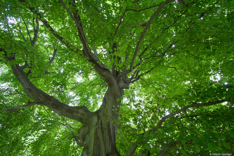 Germany — photo 32