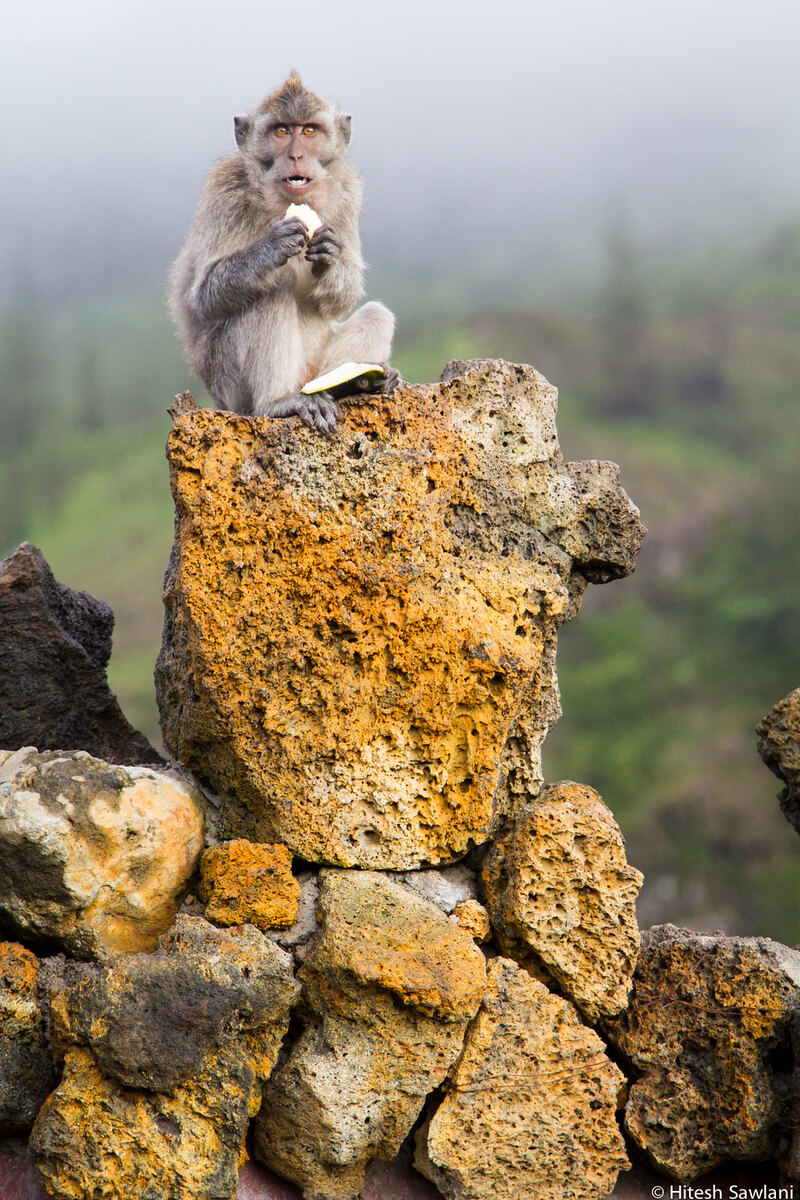 Indonesia — photo 7