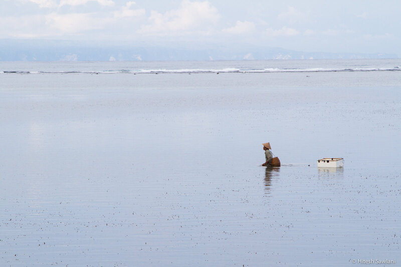 Indonesia — photo 28