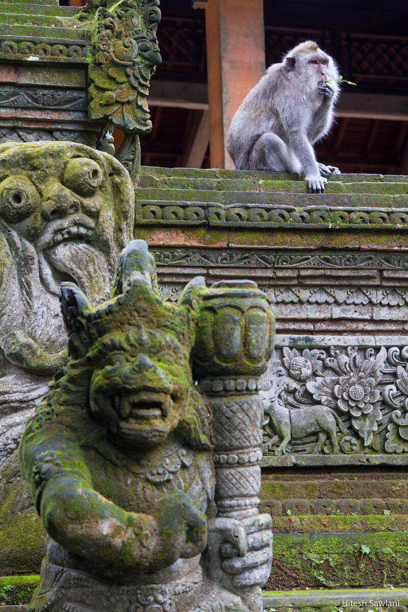 Indonesia — photo 29