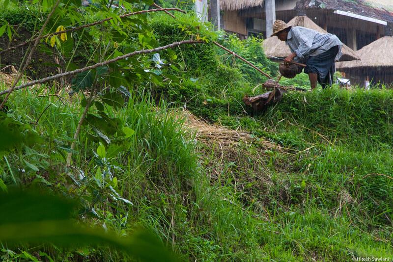 Indonesia — photo 34