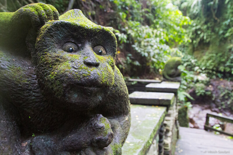 Indonesia — photo 38