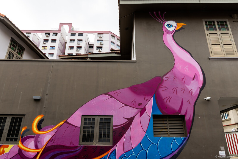 Singapore — photo 10