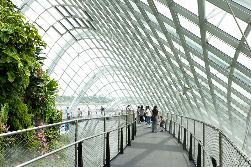 Singapore — photo 20