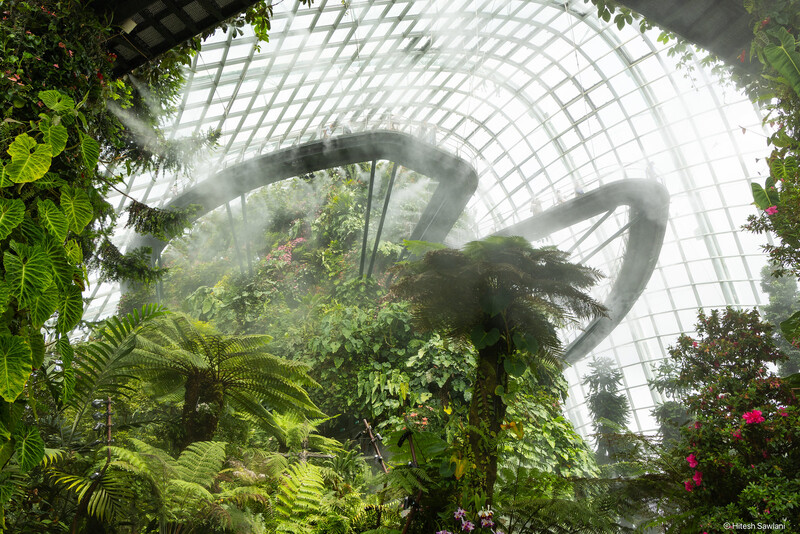 Singapore — photo 25