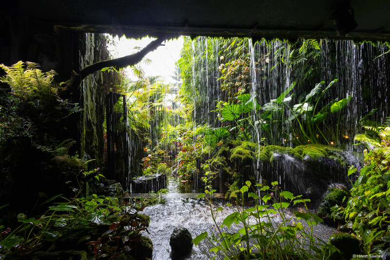 Singapore — photo 28