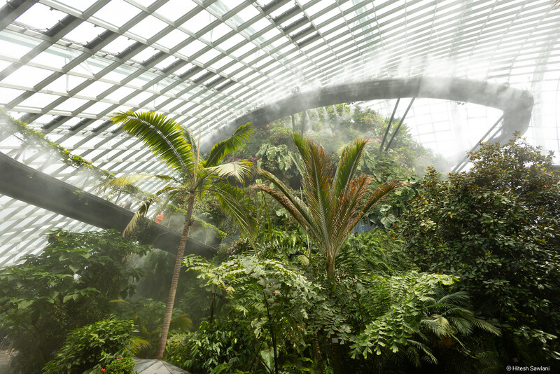 Singapore — photo 29