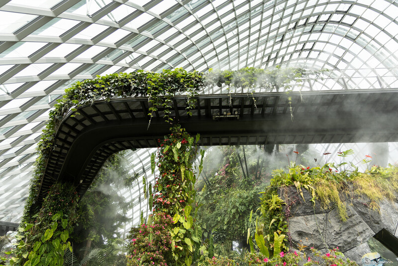 Singapore — photo 34