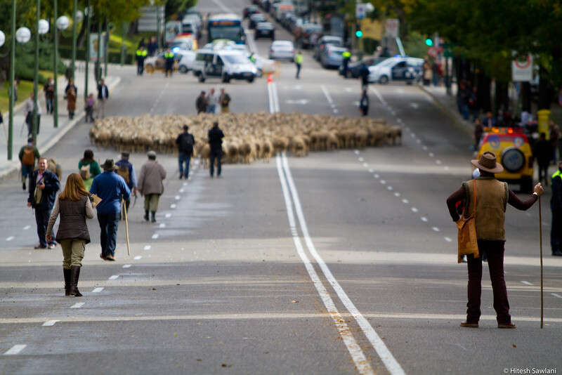 Spain — photo 58