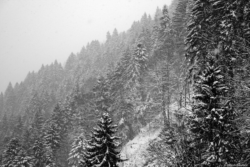 Switzerland — photo 7