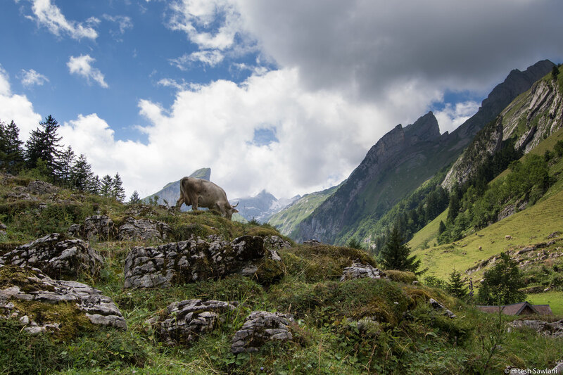 Switzerland — photo 46