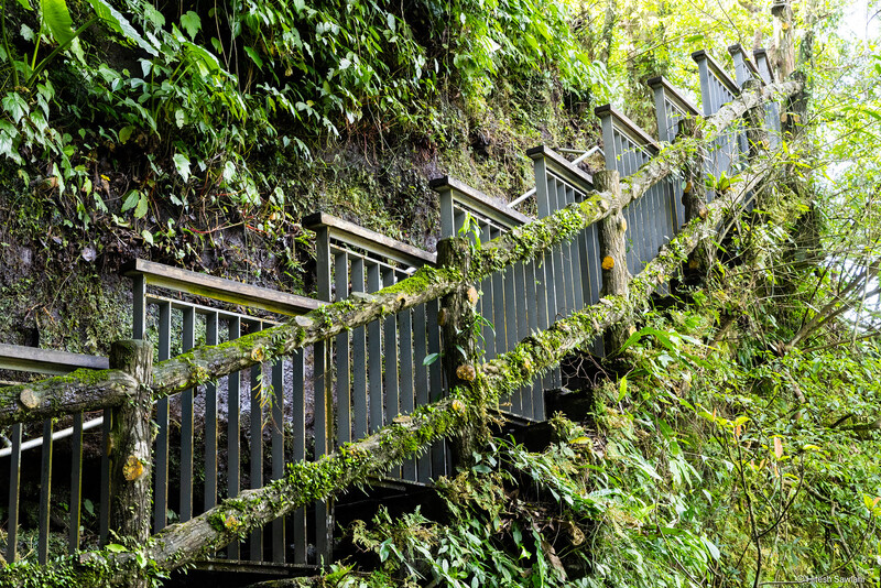 Taiwan — photo 46