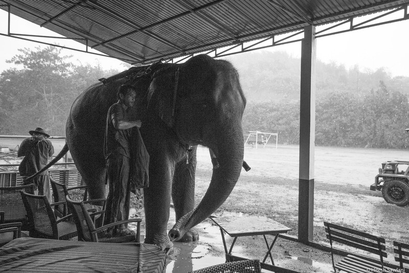 Thailand — photo 5