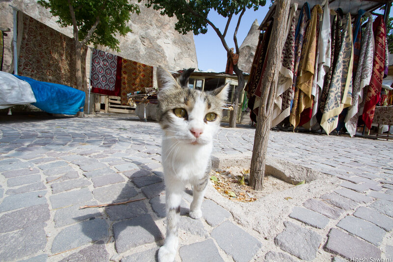Turkey — photo 4