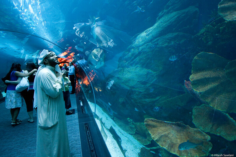 United Arab Emirates — photo 4