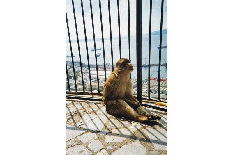 United Kingdom — photo 111