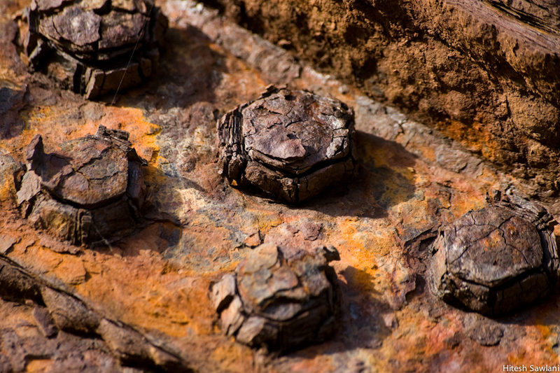 United Kingdom — photo 12