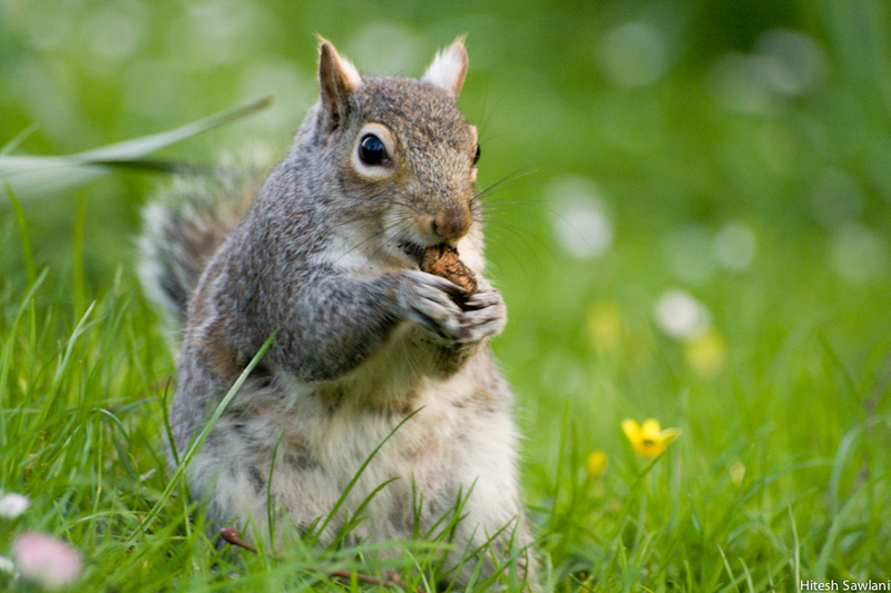 United Kingdom — photo 16