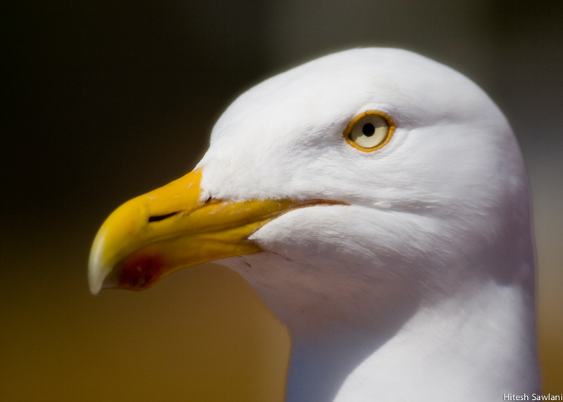 United Kingdom — photo 17