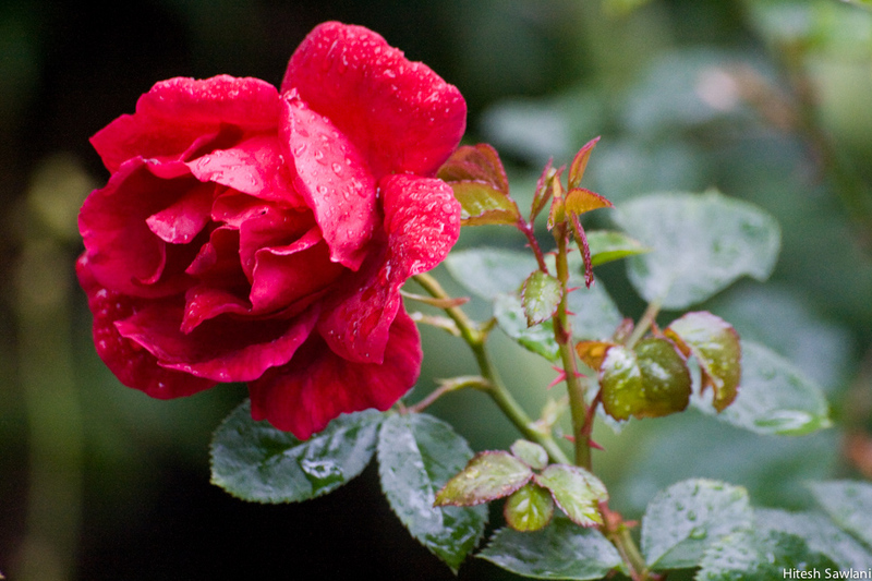 United Kingdom — photo 18