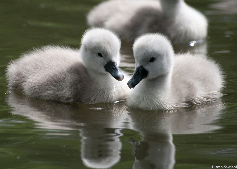 United Kingdom — photo 22