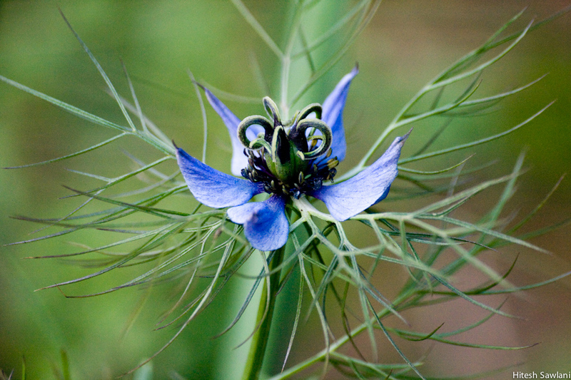 United Kingdom — photo 31