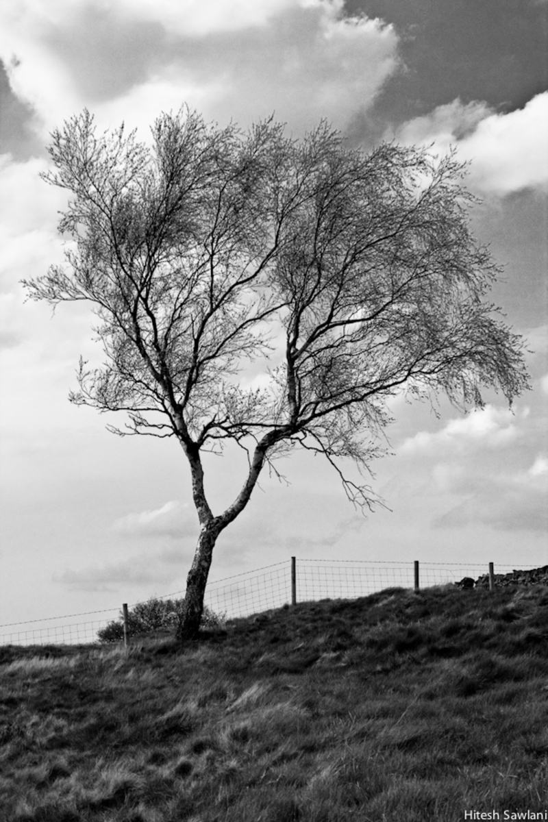 United Kingdom — photo 32