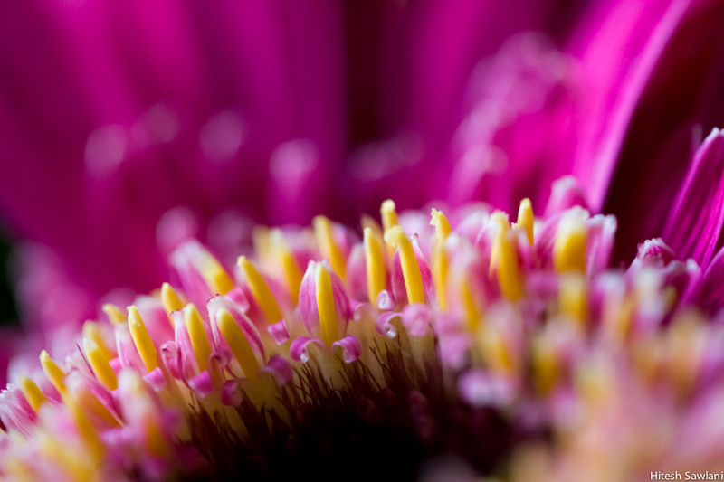 United Kingdom — photo 37