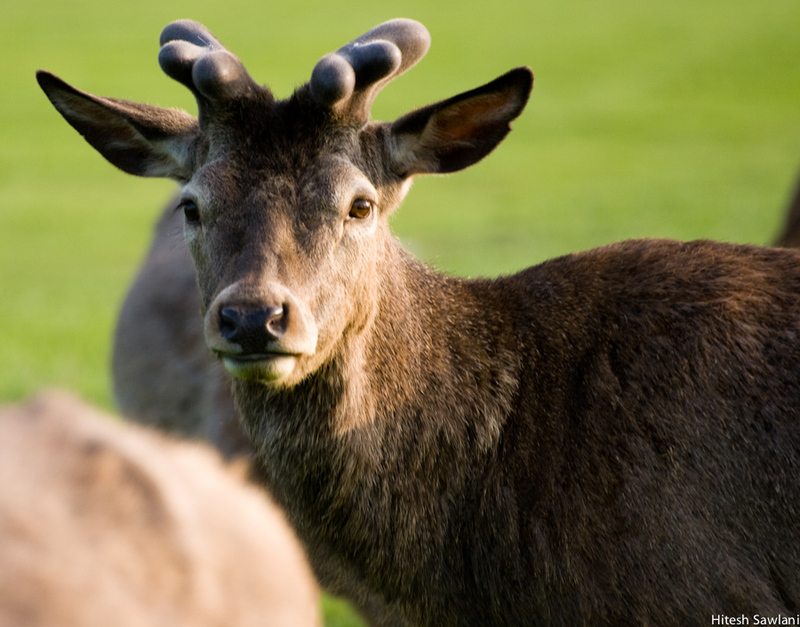 United Kingdom — photo 41