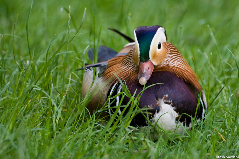 United Kingdom — photo 43