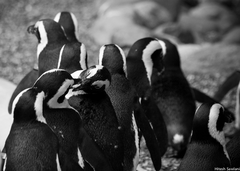 United Kingdom — photo 44