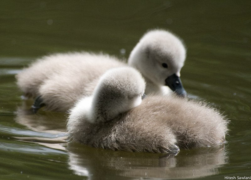 United Kingdom — photo 94