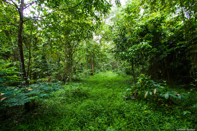 Vietnam — photo 4