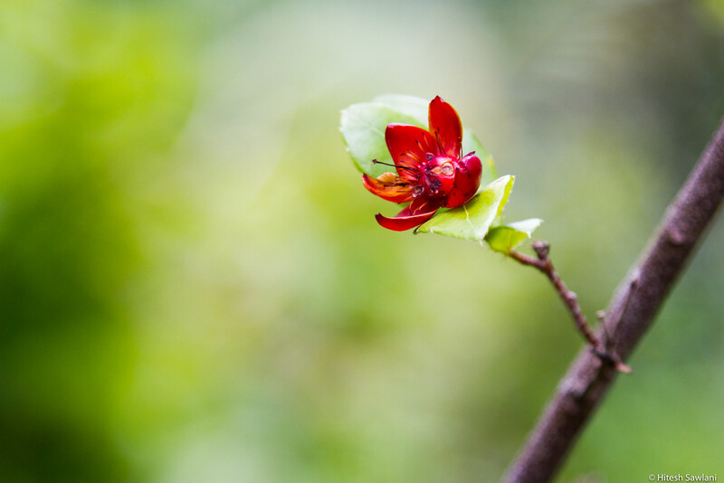 Vietnam — photo 11